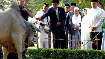 Presiden Jokowi: Iduladha adalah Momen Berbagi