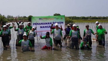 Bekasi Fajar Tanam 13.000 Pohon Mangrove