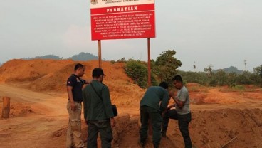 KLHK Gerebek dan Sita 7 Ekskavator Tambang di Habitat Orang Utan Sungai Tulak Ketapang