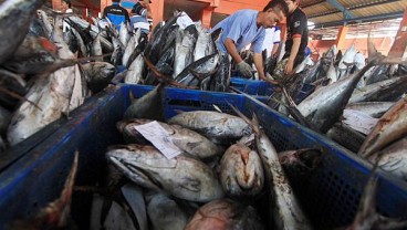 Fenomena Upwelling di Danau Toba Seharusnya Bisa Diantisipasi