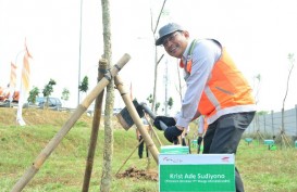 2.000 Pohon Ditanam di Sepanjang Tol Tangerang-Merak
