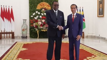 Bertemu Presiden Namibia, Jokowi Dorong Kerja Sama Infrastruktur dan Perdagangan