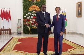 Bertemu Presiden Namibia, Jokowi Dorong Kerja Sama Infrastruktur dan Perdagangan