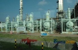 Perusahaan Thailand Siapkan Investasi Pabrik Ethanol di Indonesia US$250 Juta
