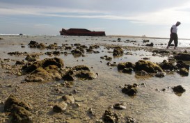 Kapal Tongkang Perusak Terumbu Karang di Probolinggo Bakal Dihukum