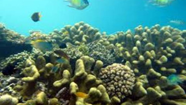 Tarik Wisatawan, Gorontalo Kembangkan Geopark