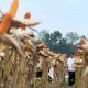 Siap-Siap, Harga Jagung Bakal Terus Melejit