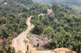 Begini Progres Pembangunan Jalan Perbatasan di Kalimantan
