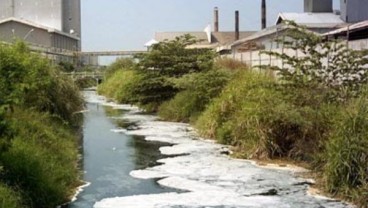 Ratusan Limbah Rumah Sakit Kandung B3 di Hutan Mangrove
