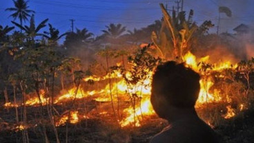 KEBAKARAN LAHAN: 3 Perusahaan Perkebunan Dinyatakan Bersalah, Denda Miliaran Rupiah