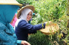 99% Ibu di Indonesia Menjadi Penentu Belanja Rumah Tangga