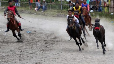 Ketika Joki Muda Berpacu di Lintasan Balap Kuda Aceh