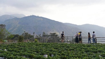 Gunung Lawu Mencari Investor Pengembangan Wisata