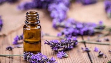 Ingin Rambut Tetap Bersinar dan Sehat? Coba Gunakan Minyak Esensial Lavender