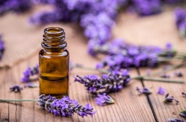 Ingin Rambut Tetap Bersinar dan Sehat? Coba Gunakan Minyak Esensial Lavender