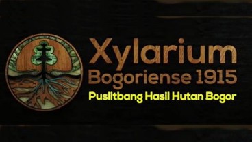 Xylarium Bogoriense Segera Jadi Perpustakaan Kayu Nomor Satu di Dunia