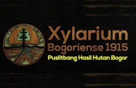 Xylarium Bogoriense Segera Jadi Perpustakaan Kayu Nomor Satu di Dunia