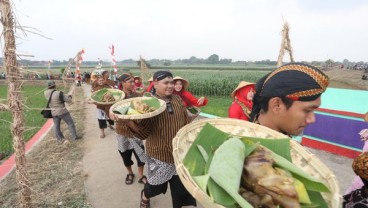 PANEN RAYA, Kirab Seribu Ingkung Ayam dan Gelar Budaya di Kendengsidialit