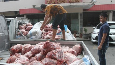 Permen Terkait Daging Celeng Diramu