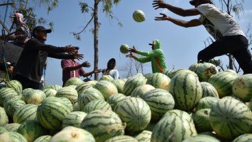 Pemkot Padang Kembangkan Wisata Agro di Pasar Raya