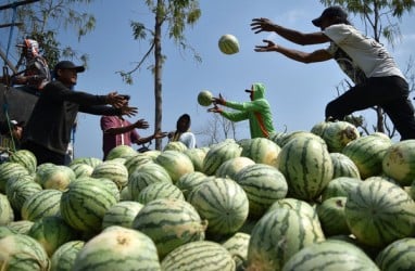 Pemkot Padang Kembangkan Wisata Agro di Pasar Raya