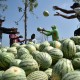Pemkot Padang Kembangkan Wisata Agro di Pasar Raya