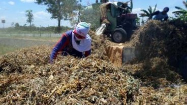 Jateng Pacu Produksi & Kampanyekan Kedelai Lokal