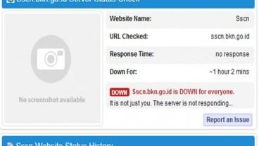 CPNS 2018: Server Portal Pendaftaran SSCN Sering Down