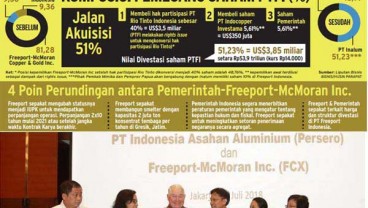 DIVESTASI SAHAM: Kronologi Negosiasi Pemerintah Indonesia & Freeport