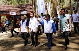 Buka Festival KPH, Jokowi Nikmati Keindahan Hutan Pinus di Dlingo
