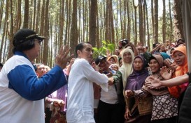 Menteri Siti Nurbaya: Langkah Koreksi Presiden Jokowi Sektor Kehutanan Mulai Dinikmati