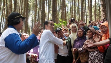 Presiden Tegaskan Pentingnya Hutan untuk Kemakmuran Rakyat