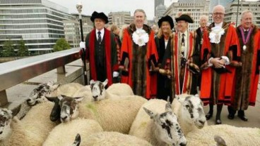 ‘London Sheep Drive’ Peringati Kejayaan ‘Freeman’ Abad ke-12