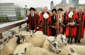 ‘London Sheep Drive’ Peringati Kejayaan ‘Freeman’ Abad ke-12