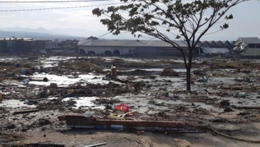 GEMPA PALU: Appaksi Secepatnya Kirim Alat Berat 