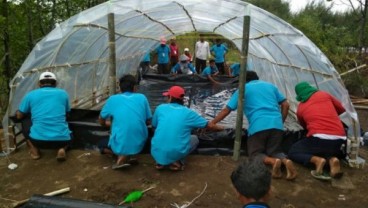 Produksi Garam Metode Buka-Tutup Probolinggo Juara Inovasi Provinsi