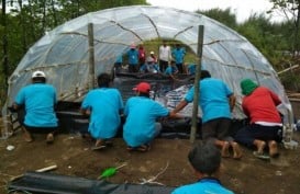 Produksi Garam Metode Buka-Tutup Probolinggo Juara Inovasi Provinsi