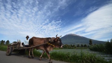 Demi Tour de Singkarak, Jambi Perbaiki Jalan di Kerinci