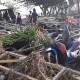 Laos Bantu Korban Gempa Palu dan Donggala