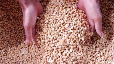 Harga Kedelai dan Gandum Impor dari AS Bakal Naik, Ini Pemicunya