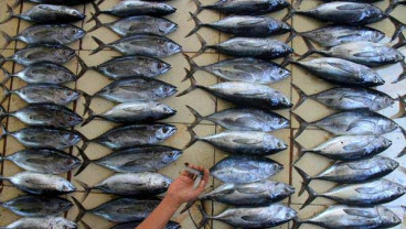 Kabupaten Mukomuko Usulkan Tambahan Alat Tangkap Pengganti Trawl