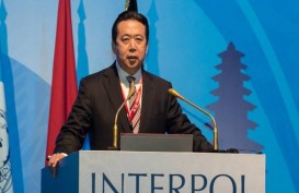 Mantan Kepala Interpol Meng Hongwei Ditahan, Istrinya Grace Meng Diteror