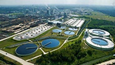 Investasi di Sektor Pulp Diharapkan Meningkat
