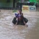 Korban Banjir Langkat 1.453 KK