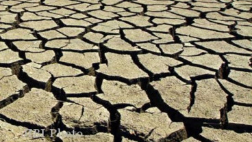 Cuaca Terik: Matahari di atas Ubun-Ubun, Hari-Hari pun tanpa Bayangan