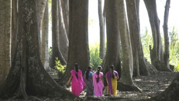 TRIP : Menjelajah Kepulauan Misterius Andaman 