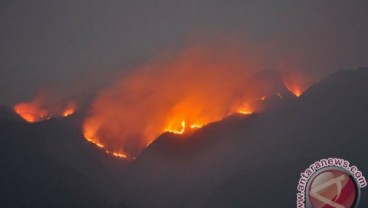 Taman Nasional Gunung Merbabu Terbakar, Pemadaman Baru Bisa Besok