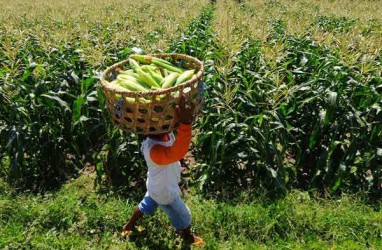 DPRD Jateng Dorong Pemda Perluas Lahan Pertanian