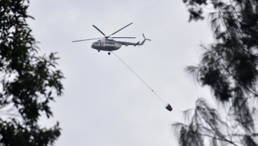 400 Hektare Lahan Gunung Merbabu Terbakar