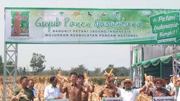 Moeldoko: Musim Panen Tiba, Harga Jagung akan Turun